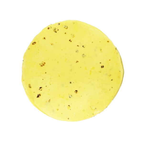 Moong dal papad